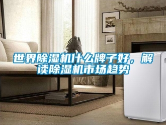 行業(yè)新聞世界除濕機什么牌子好，解讀除濕機市場趨勢