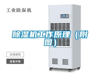 常見問題除濕機(jī)工作原理（附圖）