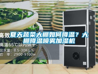 常見(jiàn)問(wèn)題夏天蔬菜大棚如何降溫？大棚降溫噴霧加濕機(jī)