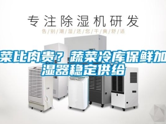 企業(yè)新聞菜比肉貴？蔬菜冷庫保鮮加濕器穩(wěn)定供給