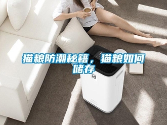 常見問題貓糧防潮秘籍，貓糧如何儲存