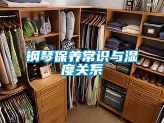 企業(yè)新聞鋼琴保養(yǎng)常識與濕度關(guān)系