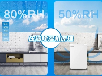 行業(yè)新聞壓縮除濕機(jī)原理