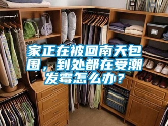常見問題家正在被回南天包圍，到處都在受潮發(fā)霉怎么辦？