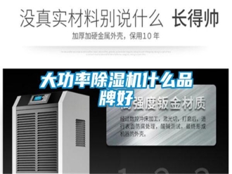 企業(yè)新聞大功率除濕機什么品牌好