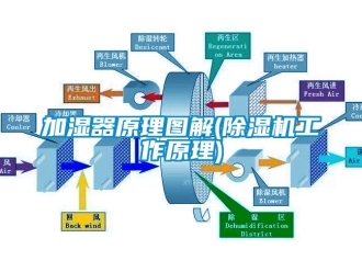 行業(yè)新聞加濕器原理圖解(除濕機(jī)工作原理)