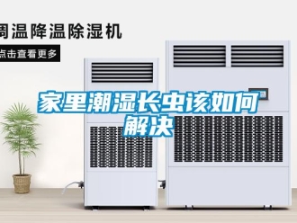 常見問題家里潮濕長蟲該如何解決