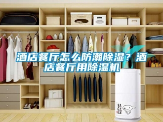 常見問題酒店餐廳怎么防潮除濕？酒店餐廳用除濕機(jī)