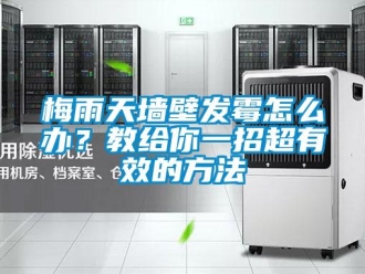 常見問題梅雨天墻壁發(fā)霉怎么辦？教給你一招超有效的方法