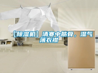 企業(yè)新聞【除濕機(jī)】清寒中筋骨，濕氣薄衣襟
