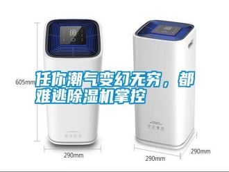 行業(yè)新聞任你潮氣變幻無窮，都難逃除濕機(jī)掌控