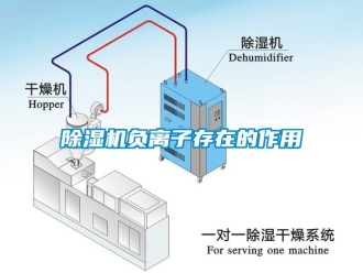 企業(yè)新聞除濕機(jī)負(fù)離子存在的作用