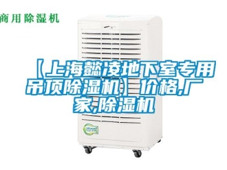 企業(yè)新聞【上海懿凌地下室專用吊頂除濕機(jī)】?jī)r(jià)格,廠家,除濕機(jī)