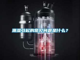 常見(jiàn)問(wèn)題潮濕引起的常見(jiàn)問(wèn)題是什么？
