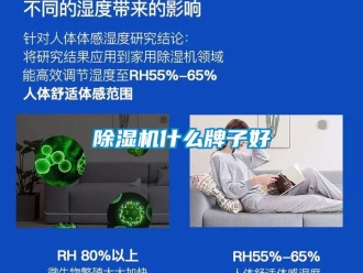企業(yè)新聞除濕機(jī)什么牌子好