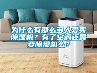 行業(yè)新聞為什么有那么多人愛買除濕機？有了空調(diào)還需要除濕機么？