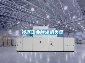 行業(yè)新聞冷凍工業(yè)除濕機類型