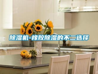 企業(yè)新聞除濕機(jī)-橡膠除濕的不二選擇