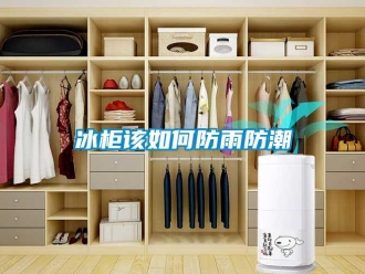 企業(yè)新聞冰柜該如何防雨防潮