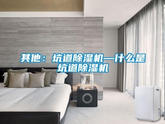 行業(yè)新聞其他：坑道除濕機(jī)—什么是坑道除濕機(jī)