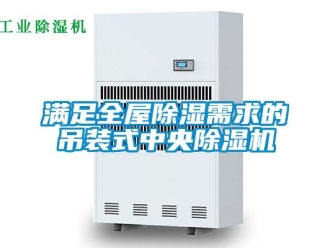 行業(yè)新聞滿足全屋除濕需求的吊裝式中央除濕機