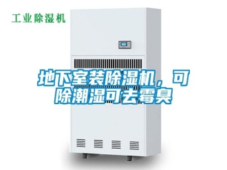 企業(yè)新聞地下室裝除濕機(jī)，可除潮濕可去霉臭