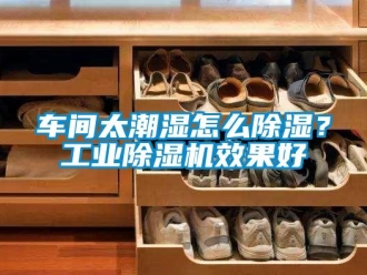 常見問題車間太潮濕怎么除濕？工業(yè)除濕機效果好