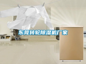 企業(yè)新聞東莞轉(zhuǎn)輪除濕機(jī)廠家