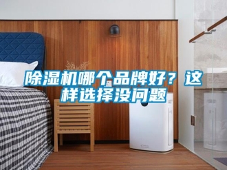常見問題除濕機(jī)哪個品牌好？這樣選擇沒問題