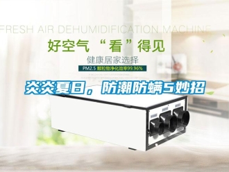 知識百科炎炎夏日，防潮防螨5妙招