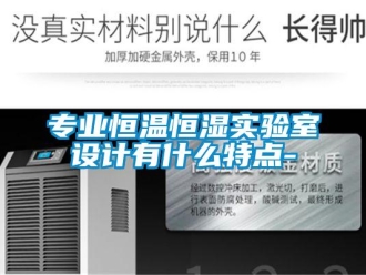 知識百科專業(yè)恒溫恒濕實驗室設計有什么特點-