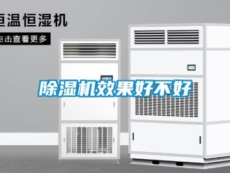 企業(yè)新聞除濕機(jī)效果好不好