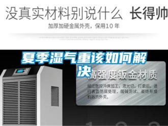 常見(jiàn)問(wèn)題夏季濕氣重該如何解決