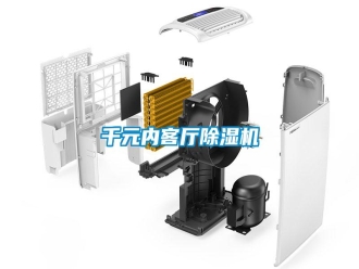 行業(yè)新聞千元內(nèi)客廳除濕機(jī)