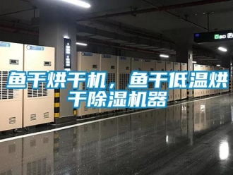 知識(shí)百科魚(yú)干烘干機(jī)，魚(yú)干低溫烘干除濕機(jī)器
