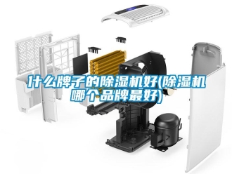 企業(yè)新聞什么牌子的除濕機(jī)好(除濕機(jī)哪個(gè)品牌最好)