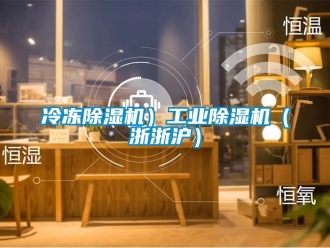 常見(jiàn)問(wèn)題冷凍除濕機(jī)）工業(yè)除濕機(jī)（浙浙滬）