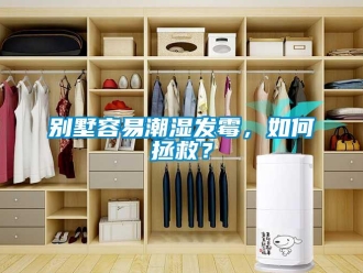 企業(yè)新聞別墅容易潮濕發(fā)霉，如何拯救？