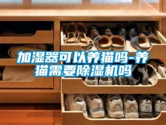 行業(yè)新聞加濕器可以養(yǎng)貓嗎-養(yǎng)貓需要除濕機(jī)嗎