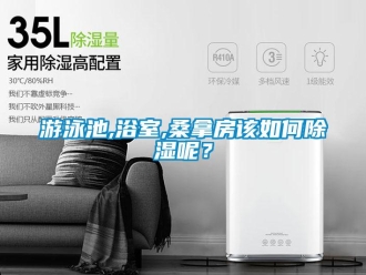 常見問題游泳池,浴室,桑拿房該如何除濕呢？