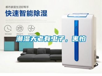 企業(yè)新聞潮濕天老有蟲子，害怕