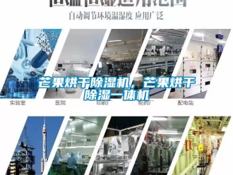 行業(yè)新聞芒果烘干除濕機(jī)，芒果烘干除濕一體機(jī)