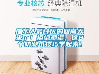 行業(yè)新聞廣東人最討厭的回南天來了！拒絕潮濕，這8個(gè)防潮小技巧學(xué)起來！