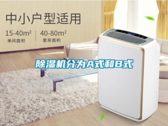 企業(yè)新聞除濕機分為A式和B式