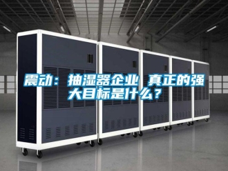 知識百科震動：抽濕器企業(yè) 真正的強大目標(biāo)是什么？
