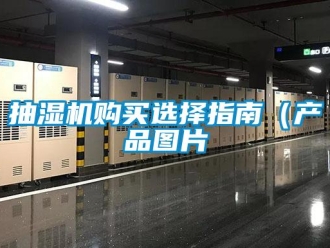 企業(yè)新聞抽濕機購買選擇指南（產品圖片
