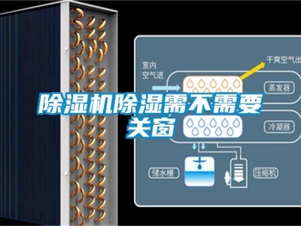 企業(yè)新聞除濕機除濕需不需要關窗