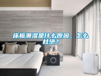 常見問題床板潮濕是什么原因，怎么杜絕？