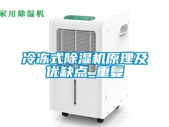 行業(yè)新聞冷凍式除濕機原理及優(yōu)缺點_重復