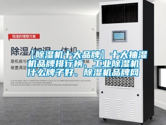 常見問題【除濕機(jī)十大品牌】十大抽濕機(jī)品牌排行榜、工業(yè)除濕機(jī)什么牌子好、除濕機(jī)品牌網(wǎng)